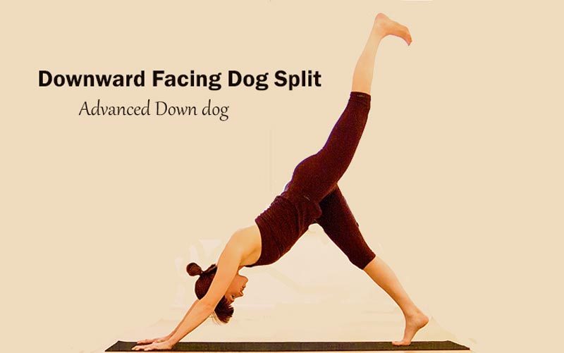 Tư thế Chó duỗi mình nâng cao - Downward Dog Pose Advanced