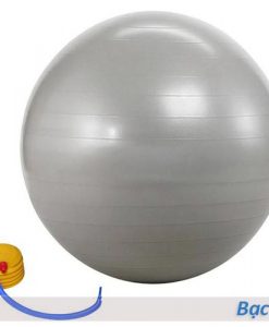 Bóng tập yoga/gym Đài Loan trơn 65cm/75cm - Màu bạc